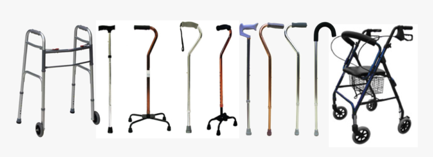 Canes Walkers, HD Png Download