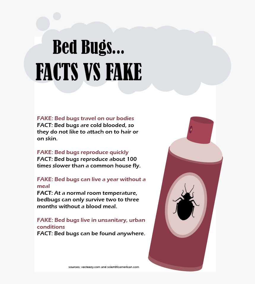 Insect, HD Png Download