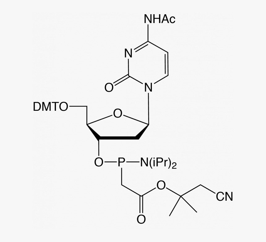 3 '- Deoxy 3 '- 18f Fluorothymidine, HD Png Download