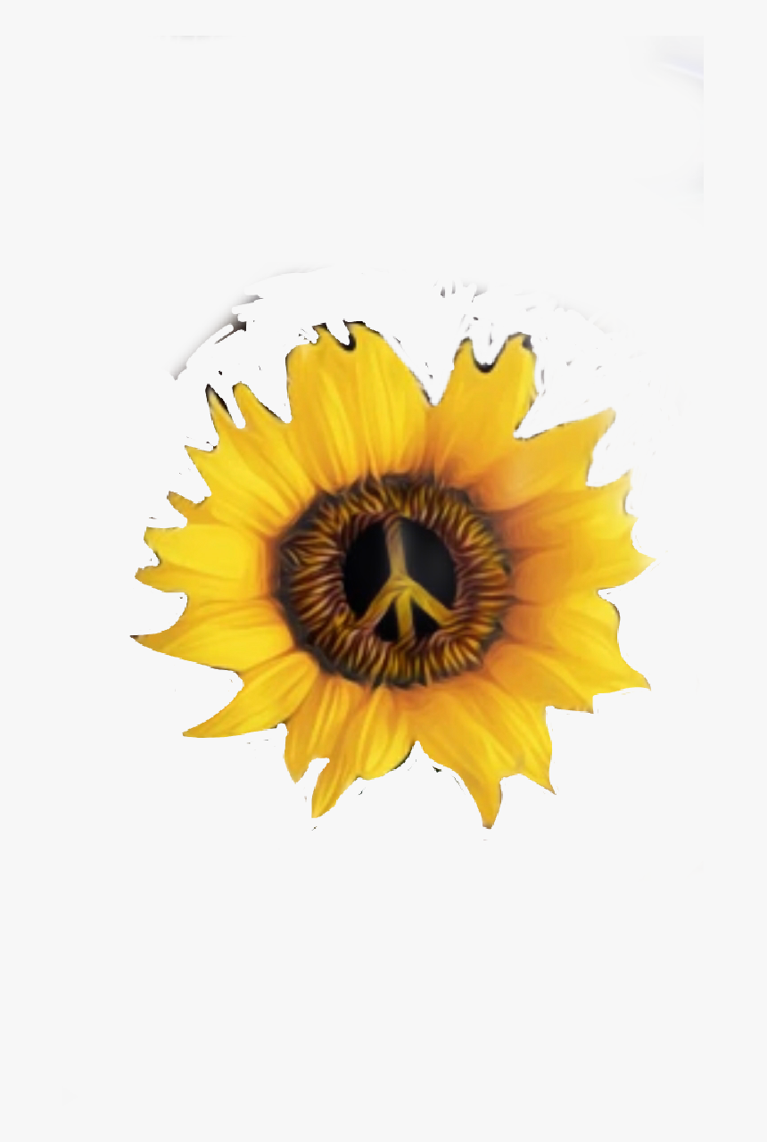 #peaceflower #peace #flower #hippie - Sunflower, HD Png Download