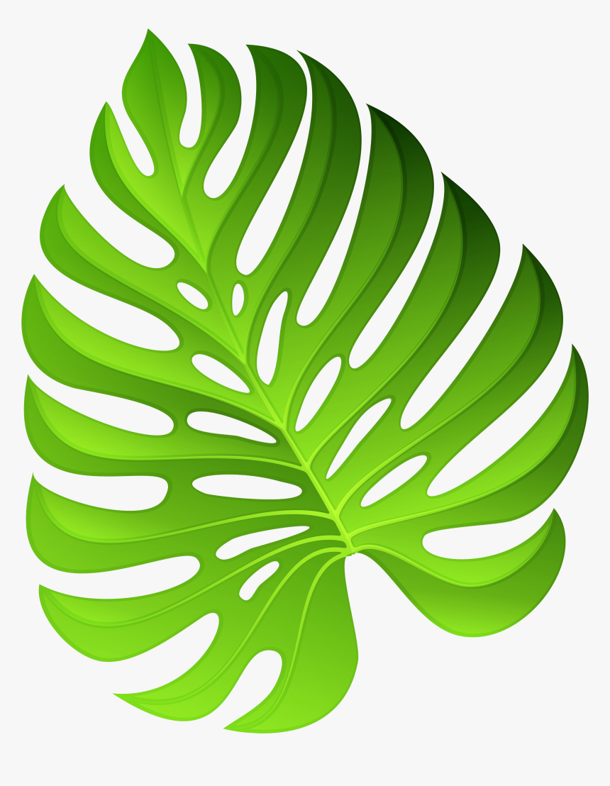 Exotic Green Plant Decoration Png Clipart Image - Png Clipart Plants Png, Transparent Png