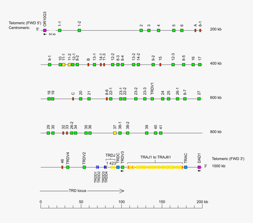 Number, HD Png Download