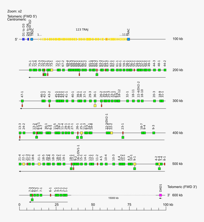 Screenshot, HD Png Download