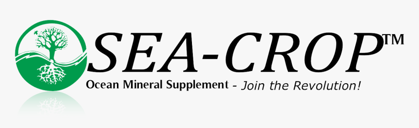 Graphics, HD Png Download