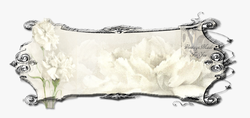 Lace, HD Png Download