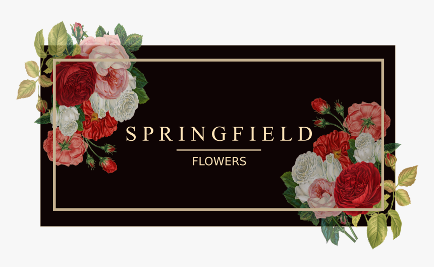 Springfield Flowers - Garden Roses, HD Png Download , Transparent Png