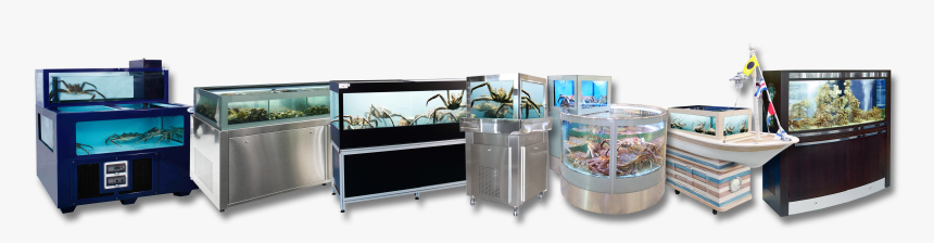 Aquariums - Acquario Adriatic Sea, HD Png Download