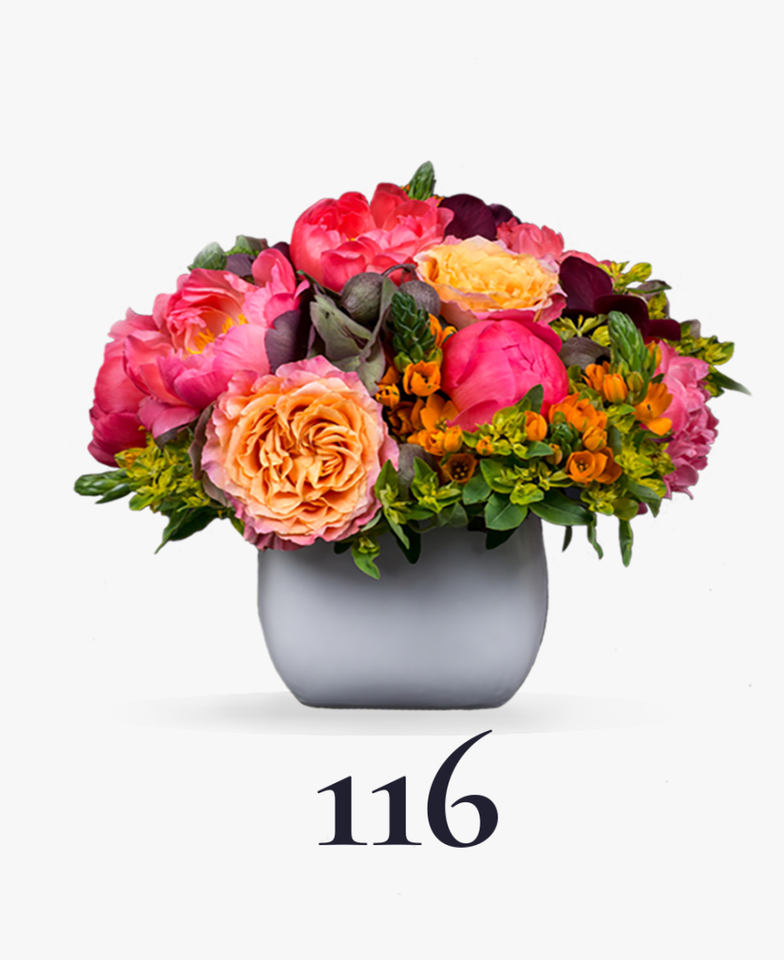 Garden Roses, HD Png Download