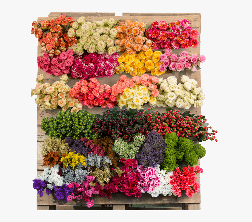Fresh Cut Flowers Png, Transparent Png