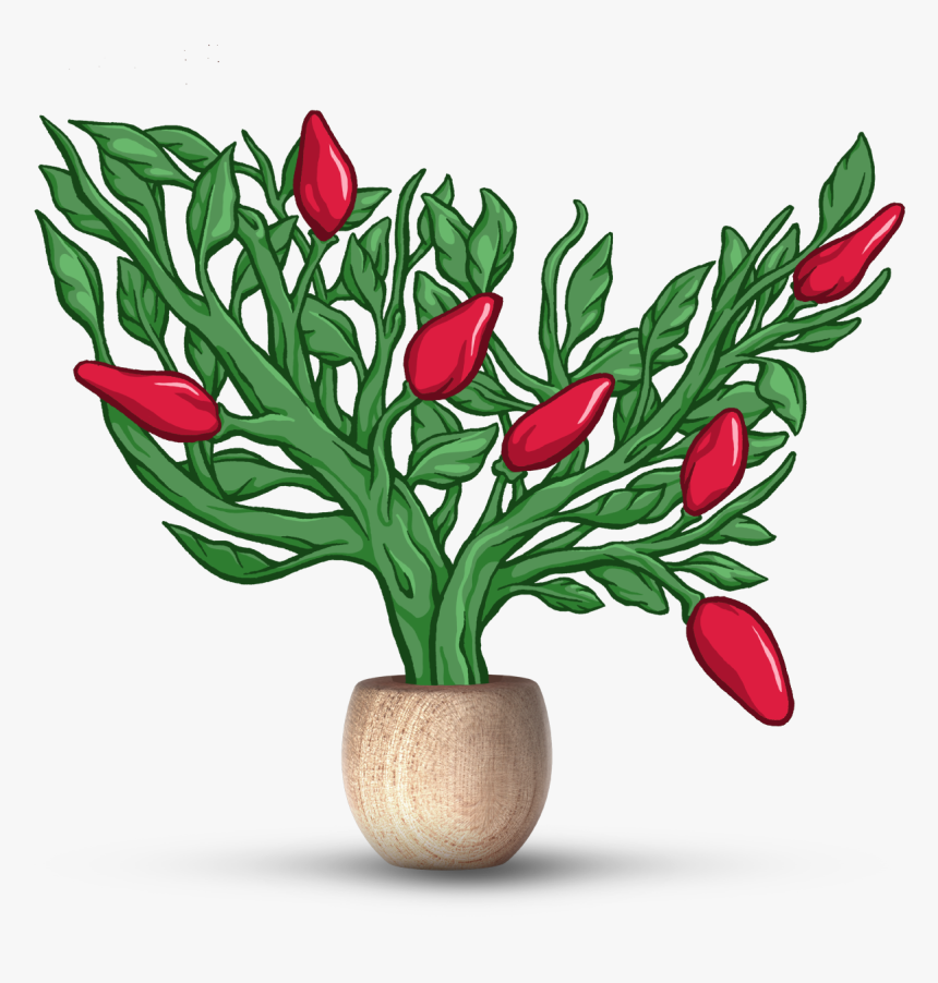 Usa Pepper - Lady Tulip, HD Png Download