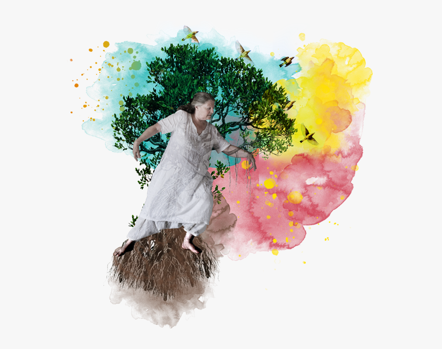 600 Carriculum Header - Illustration, HD Png Download