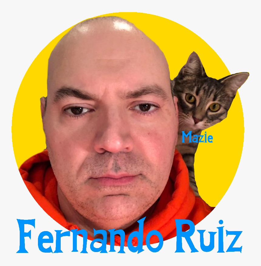 Transparent Scott Mccall Png - Domestic Short-haired Cat, Png Download