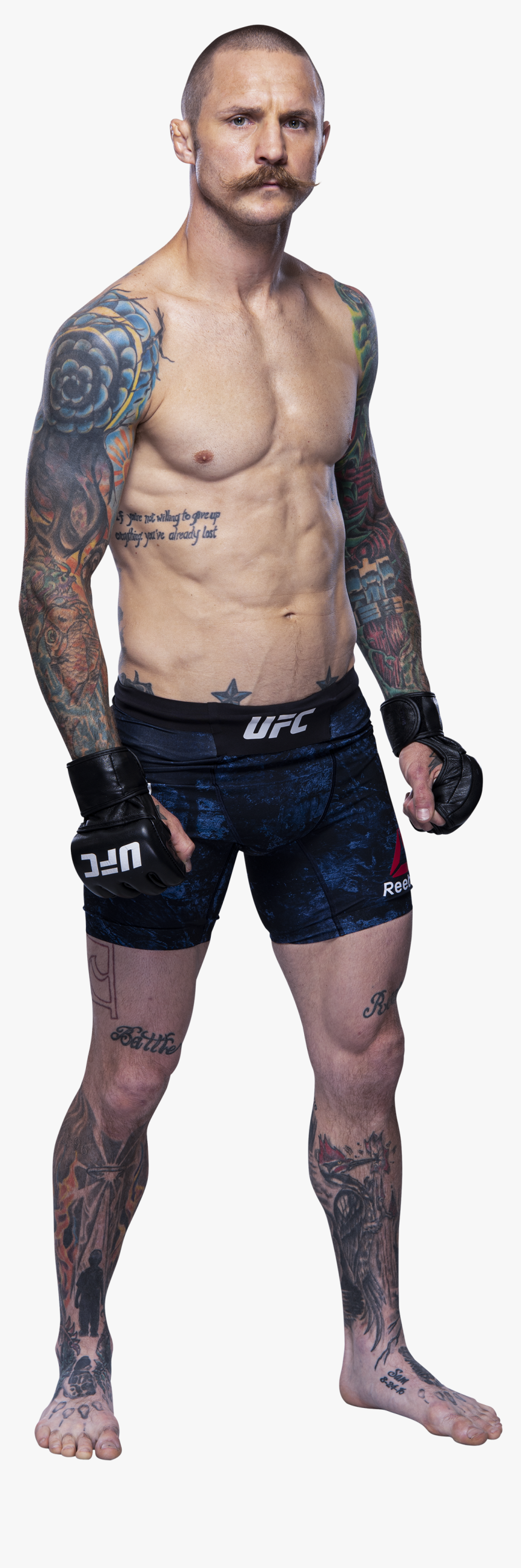 Ufc Best Of 2011 Dvd, HD Png Download