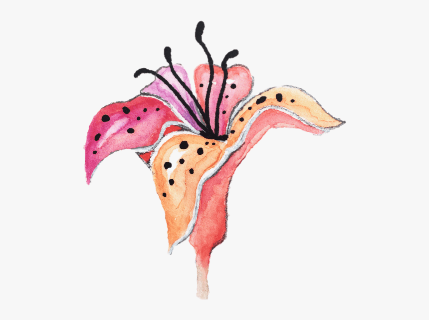 Watercolor Tiger Lily Clipart, HD Png Download