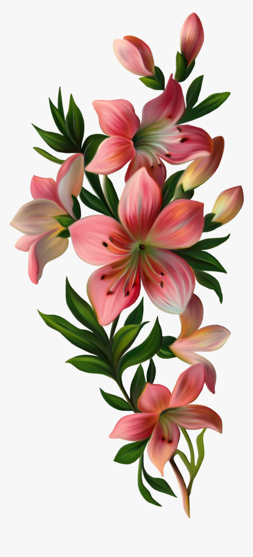 #mq #pink #lily #flowers #flower #garden #nature - Flowers With Leaves Png, Transparent Png