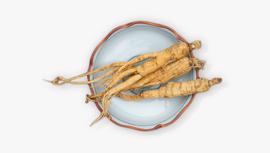 Tuber, HD Png Download