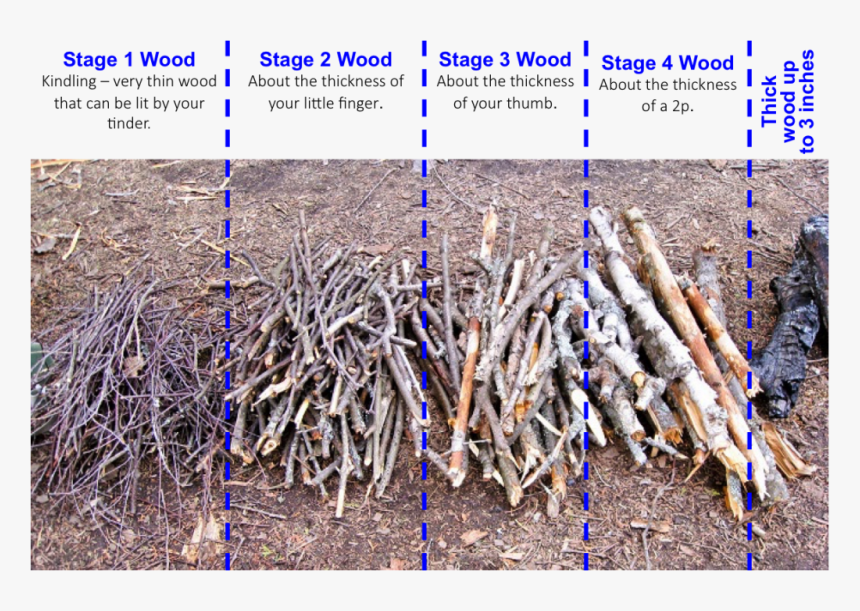 Transparent Wood Pile Png - Different Stages Of Wood, Png Download
