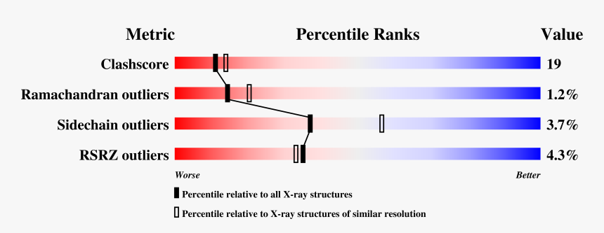 Protein Structure Of An Almond, HD Png Download , Transparent Png Image ...
