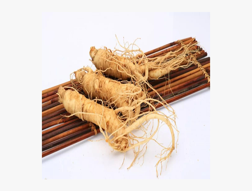 High Quality Natural Plant Ginseng Tincture - Welsh Onion, HD Png Download