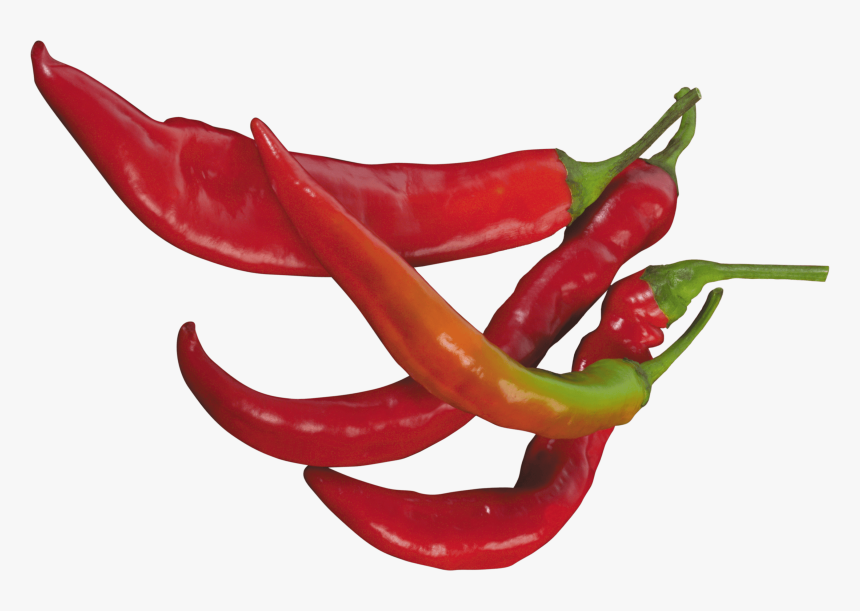 Red Chilli Pepper - Chili Peppers Transparent Background, HD Png Download