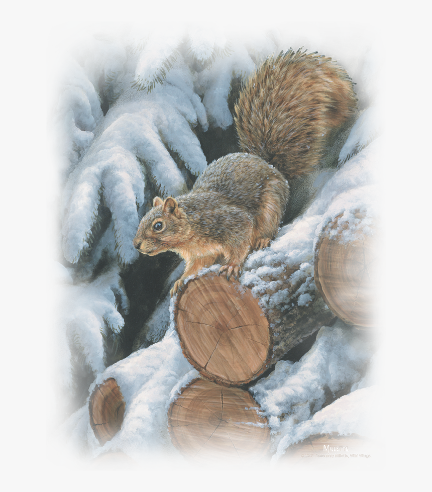 Fox Squirrel, HD Png Download