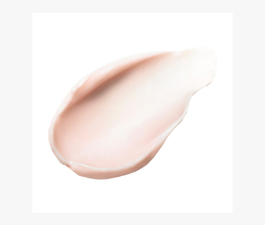 Clam, HD Png Download