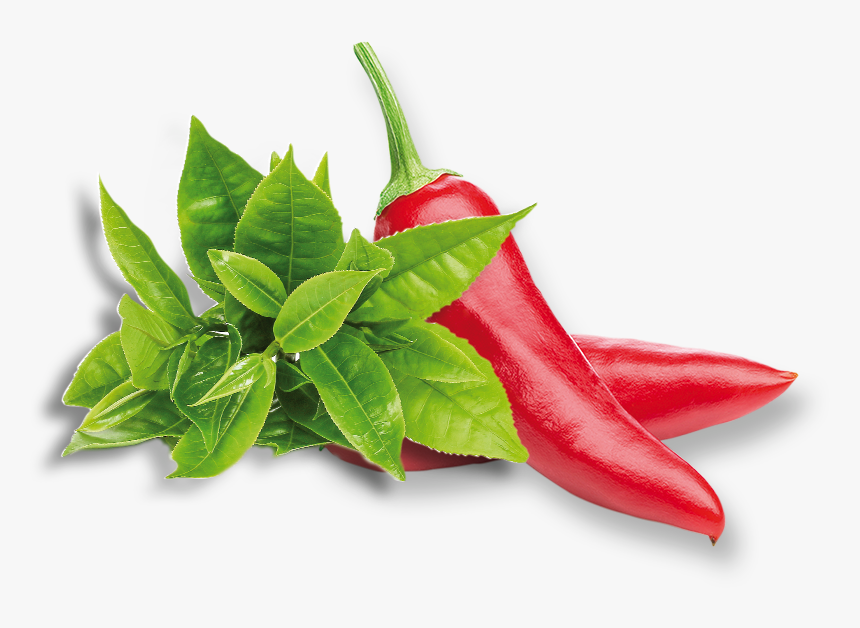 Pepper Plant Png, Transparent Png