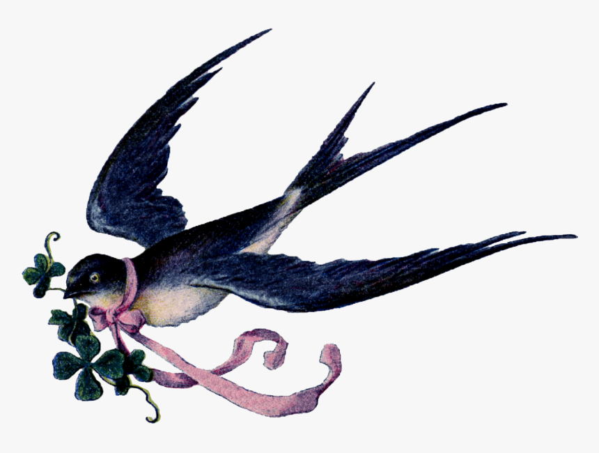 Swallow With Ribbon Ribbon In Birds Mouth - Bird With Ribbon In Mouth, HD Png Download