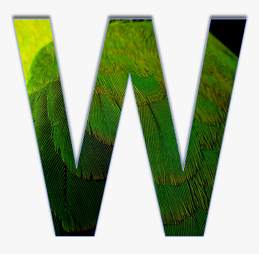 3d Letters W, HD Png Download