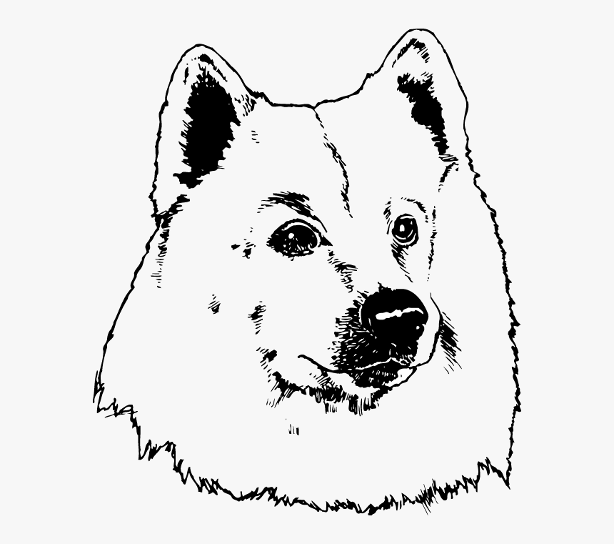 Illustration, HD Png Download