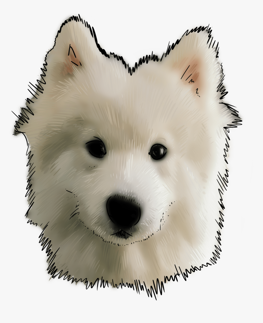 Canadian Eskimo Dog, HD Png Download