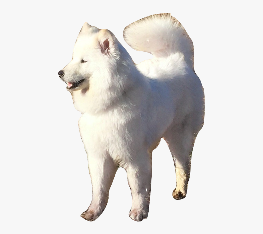 Hokkaido, HD Png Download