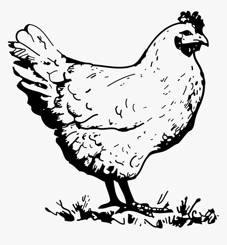 Png Chicken Black And White - Chicken Black And White, Transparent Png