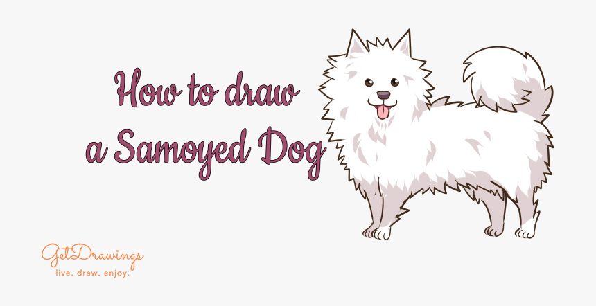 German Spitz Mittel, HD Png Download