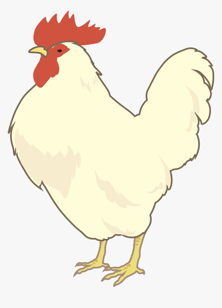 Transparent Hen Png - White Leghorn Clipart, Png Download