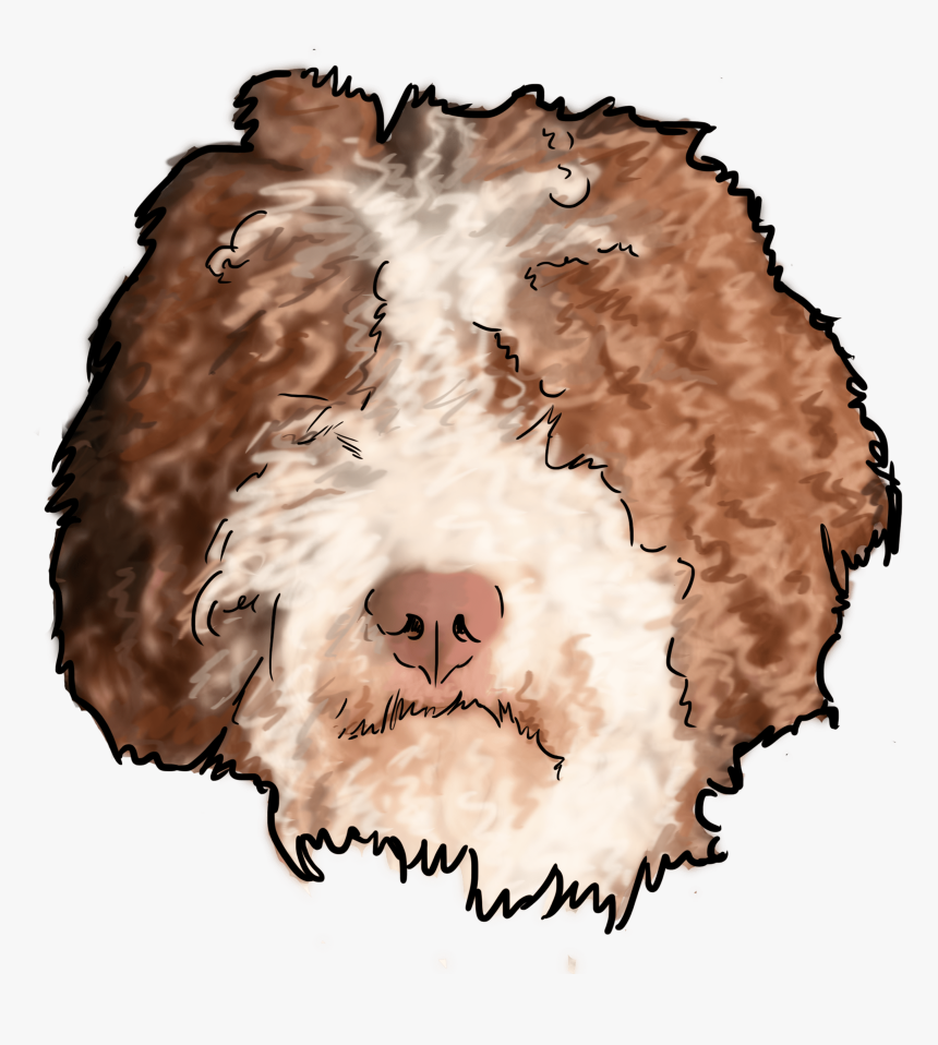Fuzzy Buddies Of The Water - Sheep, HD Png Download