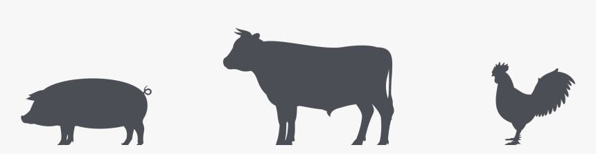 19 Cows Clip Black And White Chicken Huge Freebie Download - Pig Cow Chicken Silhouette, HD Png Download