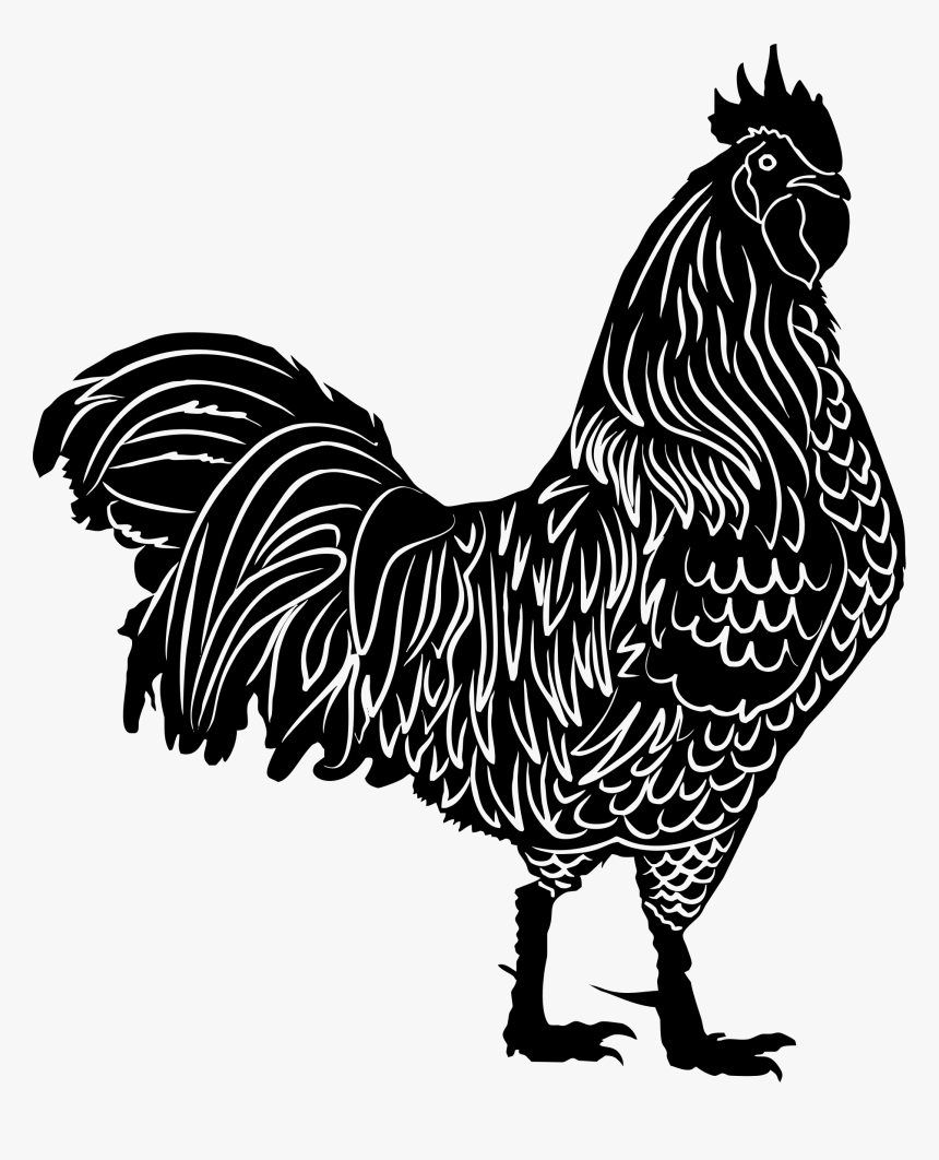 Rooster Silhouette Clip Art - Clipart Rooster Silhouette, HD Png Download