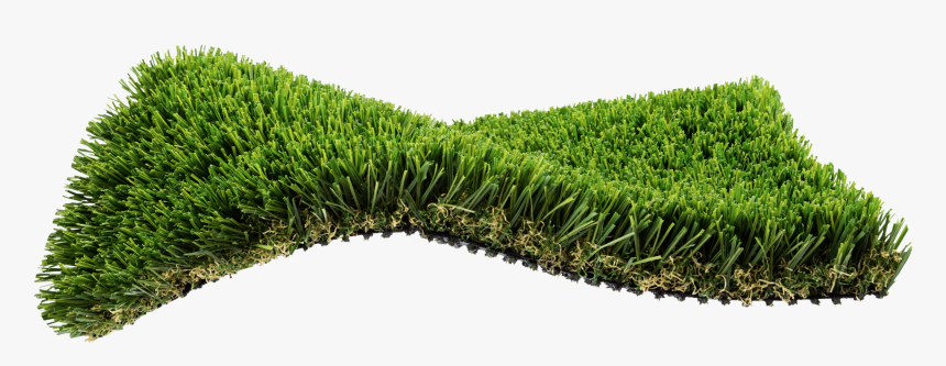 Hedge, HD Png Download