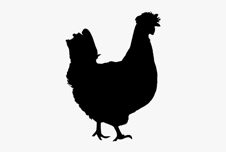 Chicken Png Free Clipart - Chicken Silhouette Color, Transparent Png