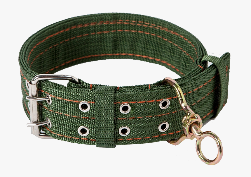 Sen Fang Dog Collar Dog Leash Dog Leash Dog Chain Medium - Buckle, HD Png Download