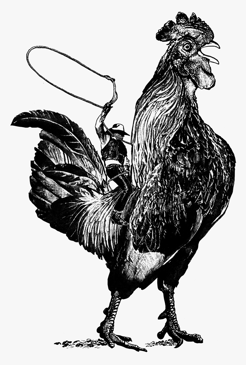 Rooster - Cowboy Riding A Chicken, HD Png Download