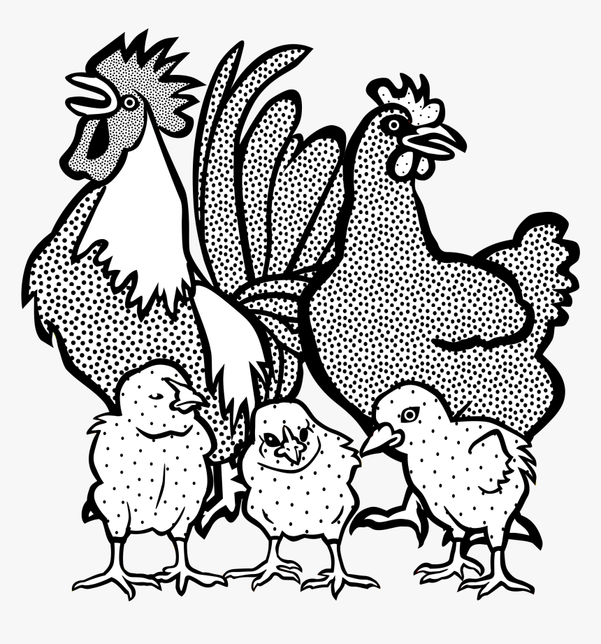 Drawing Rooster Clip Art, HD Png Download