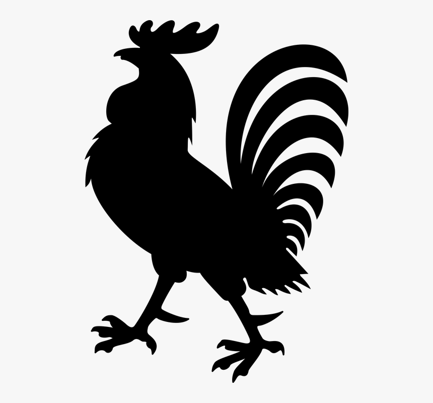 Art,beak,tail,black And White,wing,coloring - Rooster Coat Of Arms, HD Png Download