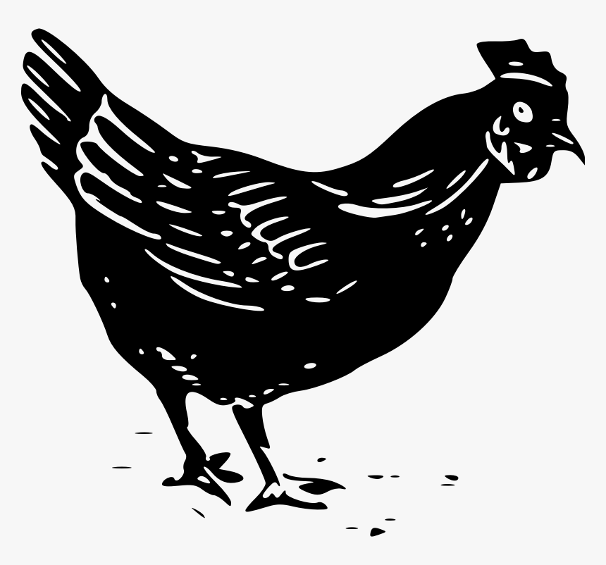 Hay Clipart Chicken - Black And White Chicken Clip Art, HD Png Download