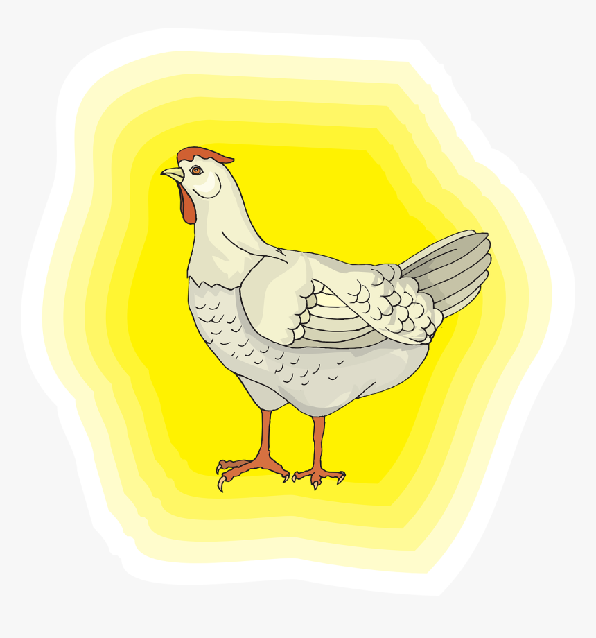 Chicken, HD Png Download
