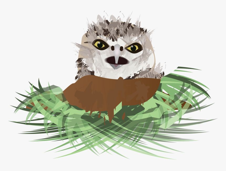 Clip Art Cartoon Dirt Hole - Drawing Burrowing Owl, HD Png Download