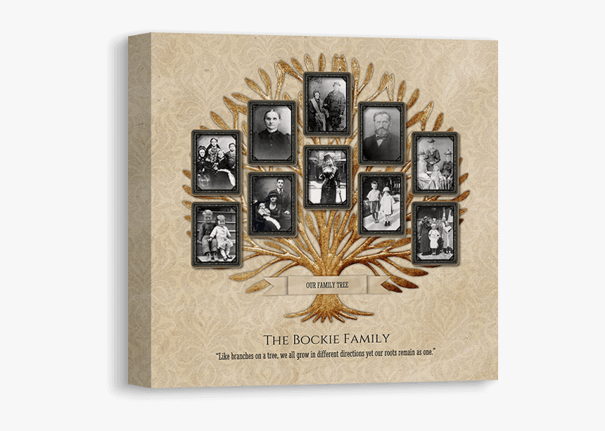Vintage Family Tree - Visual Arts, HD Png Download