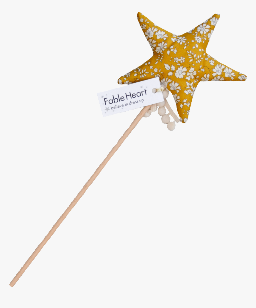 Starfish, HD Png Download