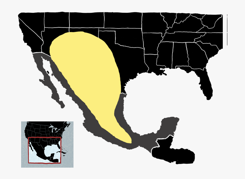 D3js Map Path, HD Png Download